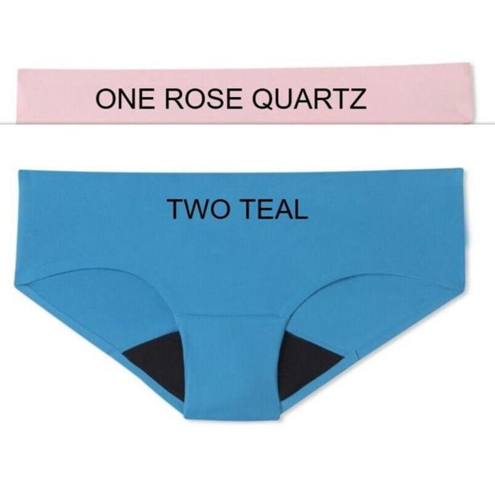 3 PAIR RUBY BLISS HIPSTER LEAK PROOF PERIOD PROTECTION PANTIES WOMENS LARGE